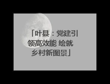 叶县：党建引领高效能 绘就乡村新图景